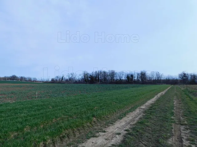 Eladó mezőgazdasági ingatlan Nemesbük 2162 nm