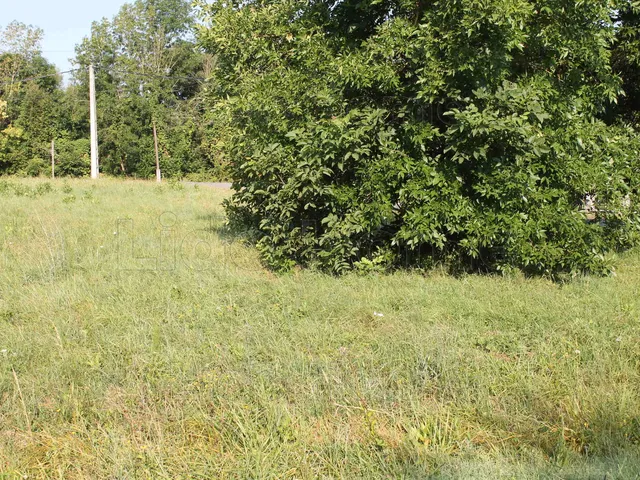 Eladó telek Zalacsány 1391 nm