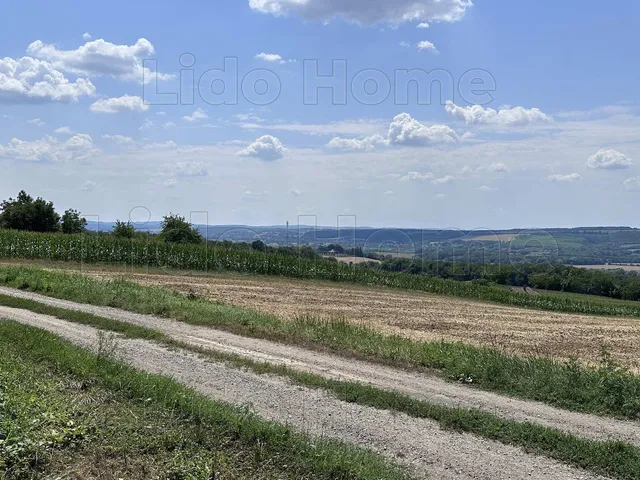 Eladó mezőgazdasági ingatlan Szentgyörgyvár 170 nm