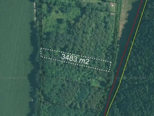 Eladó mezőgazdasági ingatlan Dióskál 3483 nm