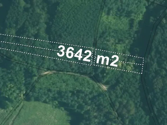 Eladó mezőgazdasági ingatlan Dióskál 3642 nm