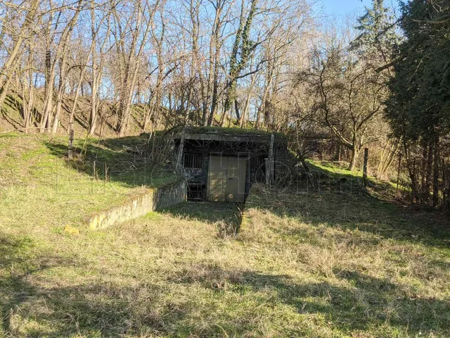 Eladó mezőgazdasági ingatlan Szigliget 33 nm