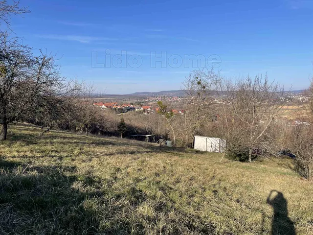 Eladó mezőgazdasági ingatlan Alsópáhok 13121 nm