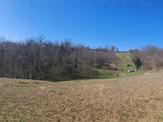 Eladó mezőgazdasági ingatlan Zalacsány 1672 nm