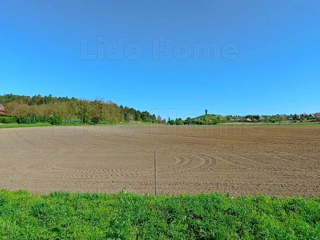 Eladó mezőgazdasági ingatlan Keszthely 23103 nm