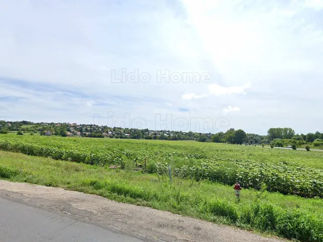 Eladó mezőgazdasági ingatlan Keszthely 23103 nm