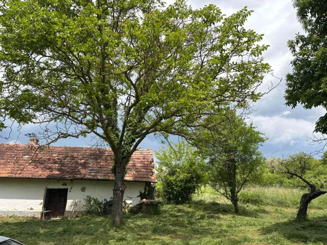 Eladó mezőgazdasági ingatlan Somogyzsitfa 35 nm