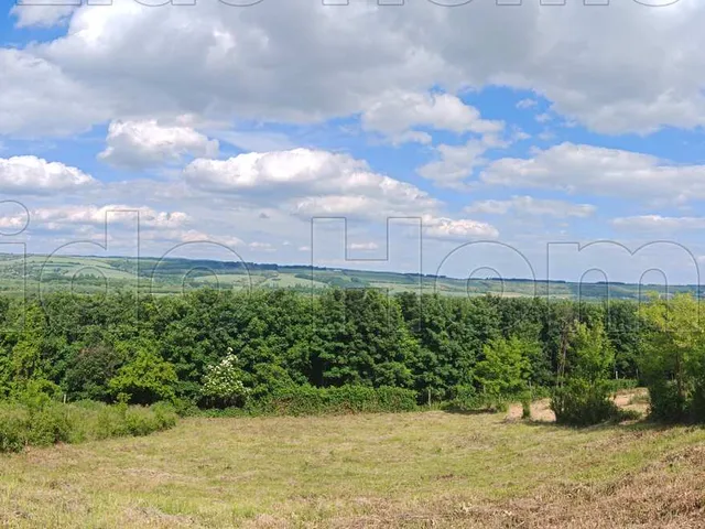 Eladó telek Zalacsány 1077 nm