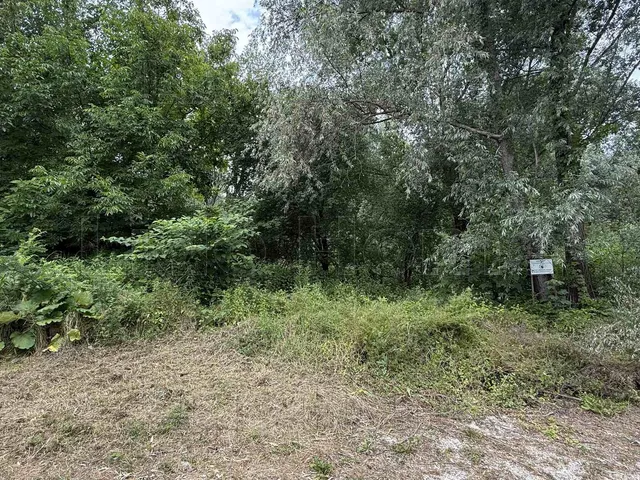Eladó mezőgazdasági ingatlan Balatongyörök 14565 nm