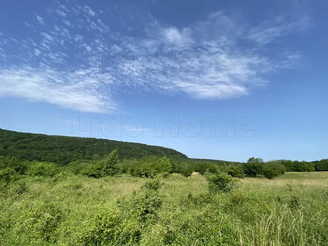 Eladó telek Zalacsány 2596 nm