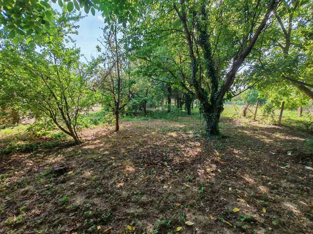 Eladó telek Zalavár 1088 nm