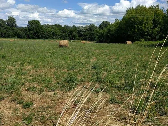 Eladó mezőgazdasági ingatlan Balatonederics 1752 nm