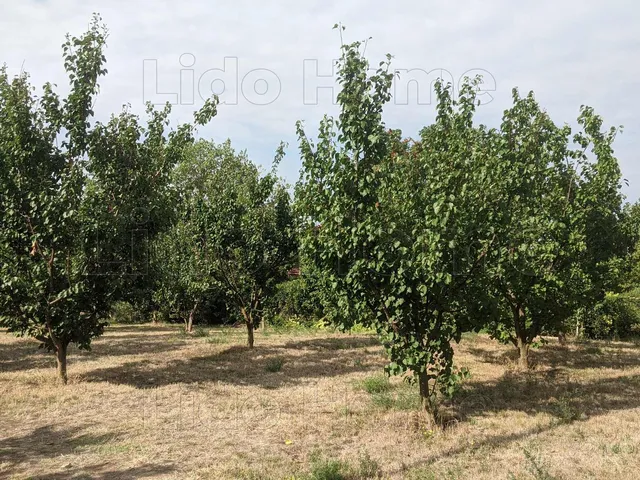 Eladó telek Vonyarcvashegy 1048 nm