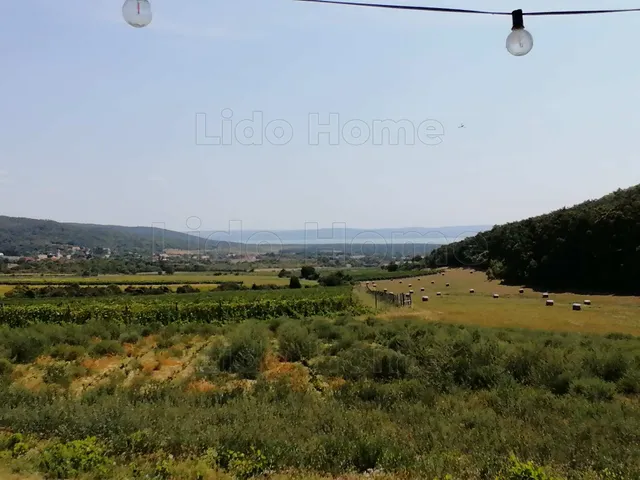 Eladó mezőgazdasági ingatlan Dörgicse 65741 nm