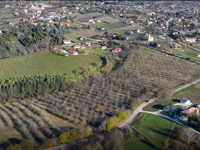 Eladó mezőgazdasági ingatlan Cserszegtomaj 71329 nm