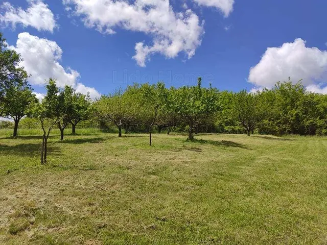 Eladó mezőgazdasági ingatlan Zalaszentgrót 20 nm