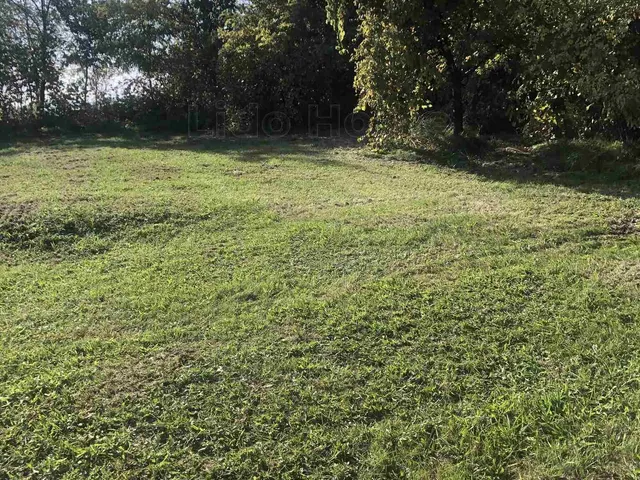 Eladó mezőgazdasági ingatlan Zalaszentgrót 20 nm