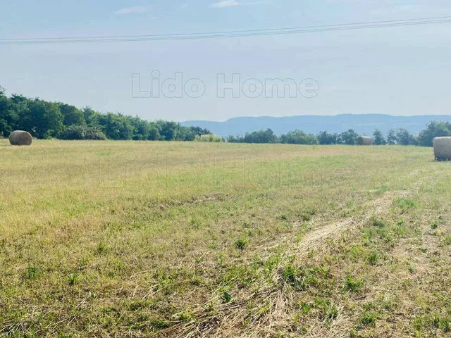Eladó mezőgazdasági ingatlan Karmacs 12983 nm