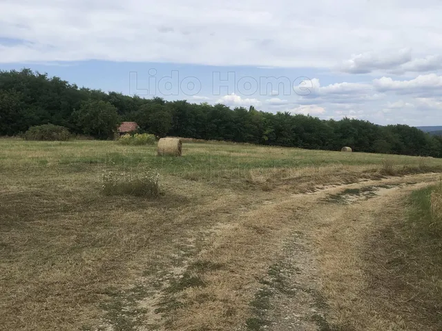 Eladó mezőgazdasági ingatlan Karmacs 12983 nm