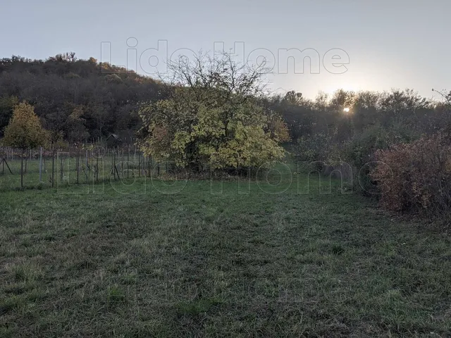 Eladó telek Szigliget 2126 nm