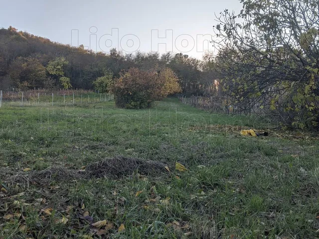 Eladó telek Szigliget 2126 nm