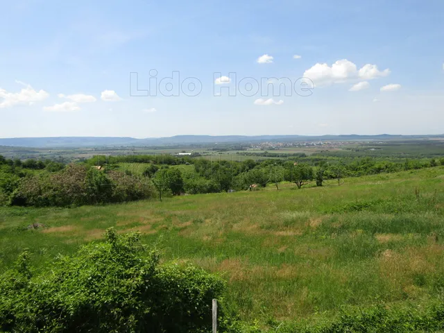 Eladó mezőgazdasági ingatlan Gyulakeszi 20 nm