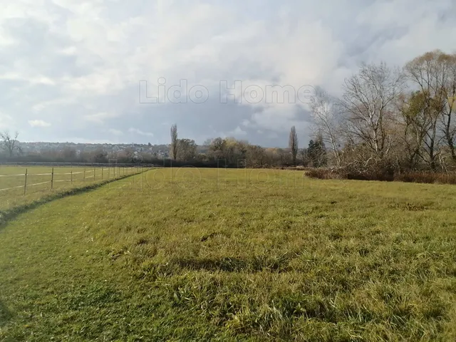 Eladó mezőgazdasági ingatlan Cserszegtomaj 13790 nm