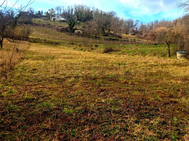 Eladó mezőgazdasági ingatlan Lesencetomaj 1143 nm