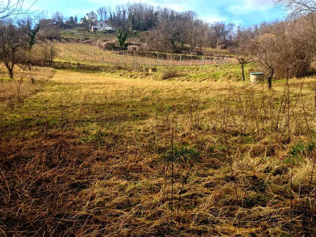 Eladó mezőgazdasági ingatlan Lesencetomaj 1143 nm