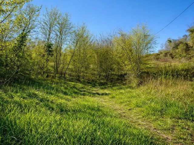 Eladó mezőgazdasági ingatlan Kehidakustány 5135 nm