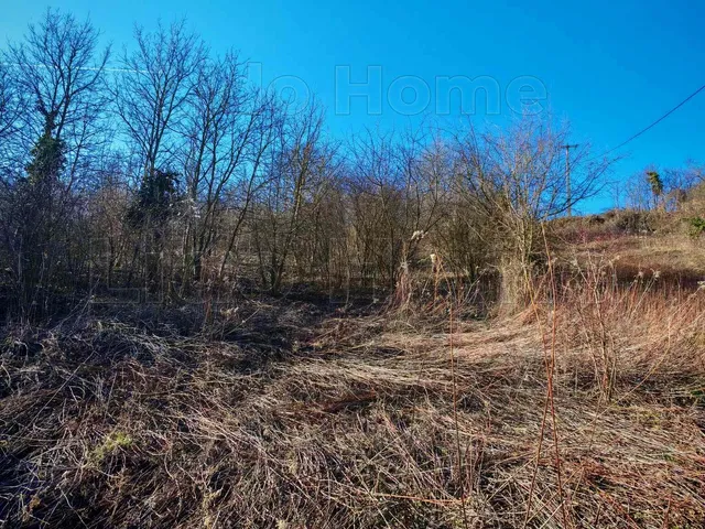 Eladó mezőgazdasági ingatlan Kehidakustány 5135 nm