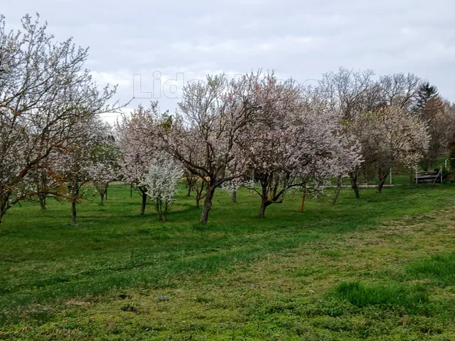Eladó telek Balatongyörök 728 nm