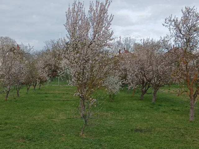 Eladó telek Balatongyörök 728 nm