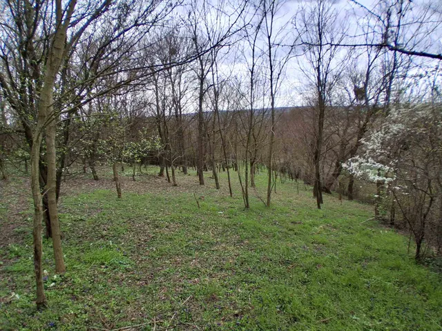 Eladó telek Szentgyörgyvár 2237 nm