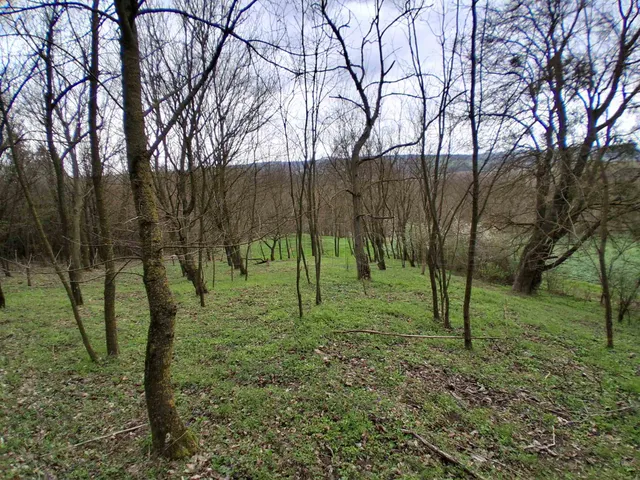 Eladó telek Szentgyörgyvár 2237 nm