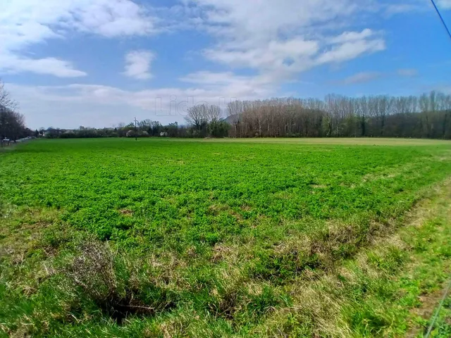 Eladó mezőgazdasági ingatlan Nemesgulács 49016 nm