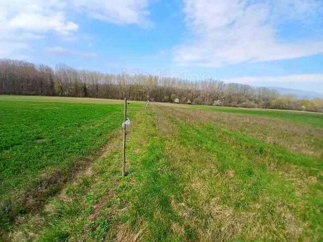 Eladó mezőgazdasági ingatlan Nemesgulács 49016 nm