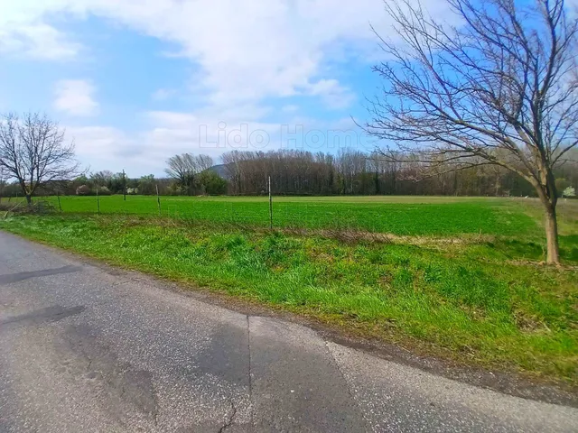 Eladó mezőgazdasági ingatlan Nemesgulács 49016 nm