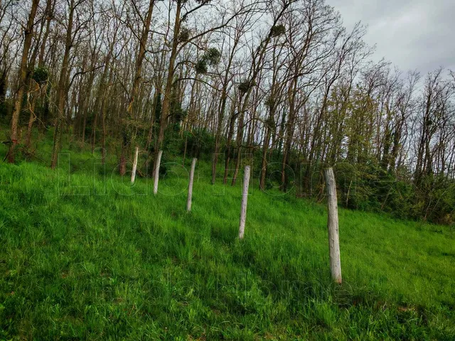 Eladó telek Kehidakustány 42674 nm