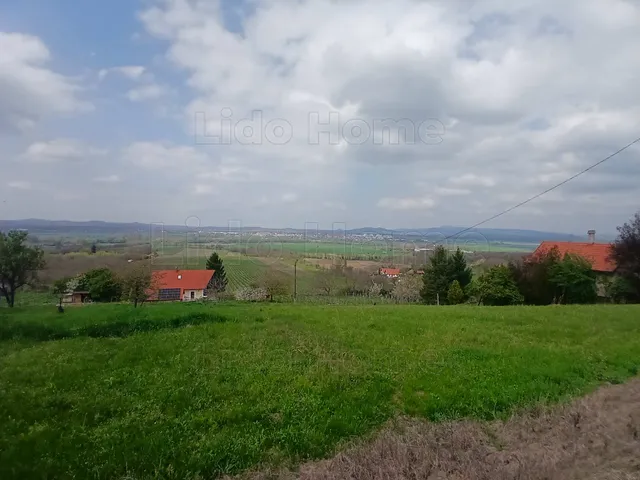 Eladó mezőgazdasági ingatlan Tapolca 2400 nm