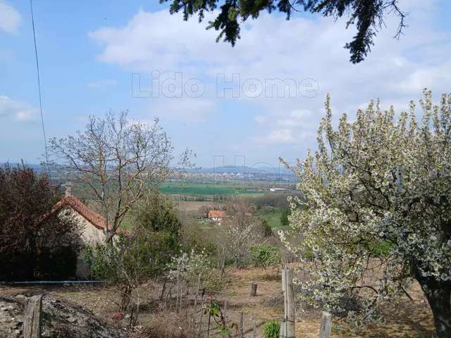 Eladó mezőgazdasági ingatlan Tapolca 2400 nm