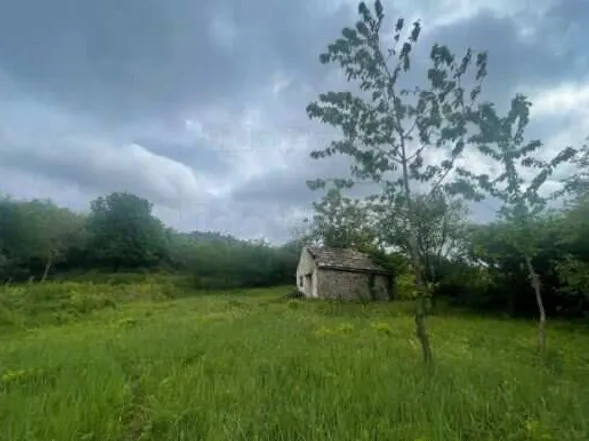 Eladó mezőgazdasági ingatlan Tapolca 2400 nm