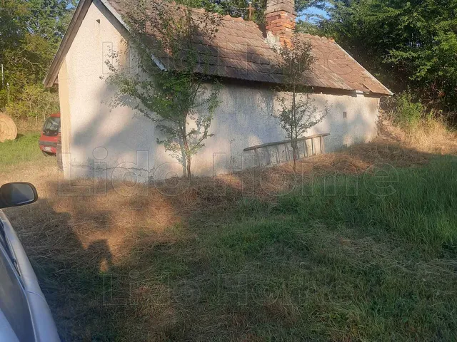 Eladó mezőgazdasági ingatlan Sármellék 7070 nm