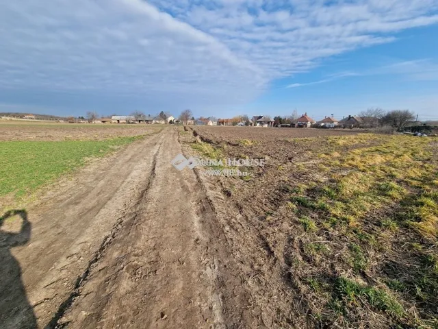 Eladó telek Seregélyes 1002 nm