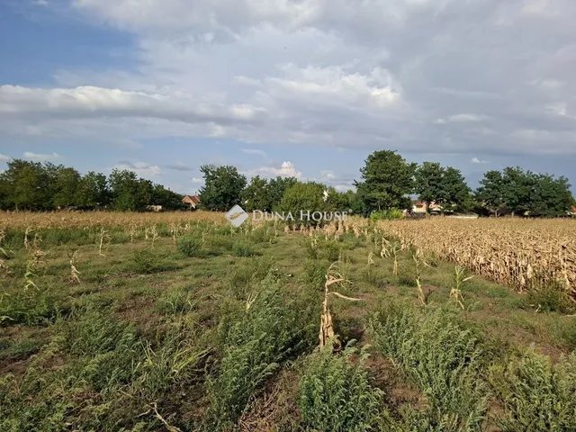 Eladó telek Seregélyes 838 nm