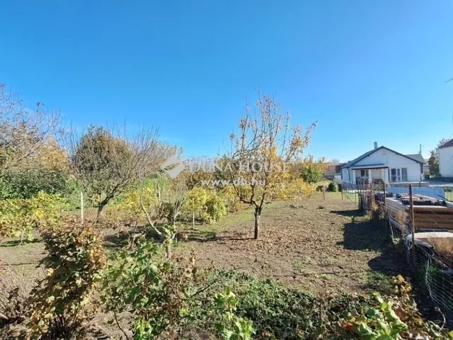 Eladó ház Iszkaszentgyörgy 133 nm