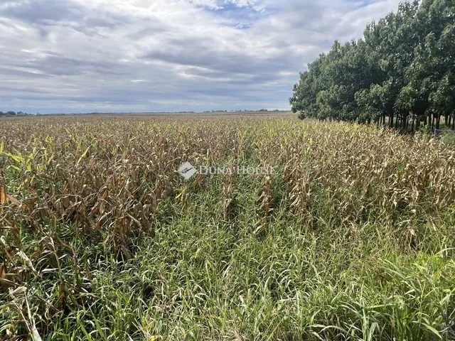 Eladó ház Lepsény 64 nm