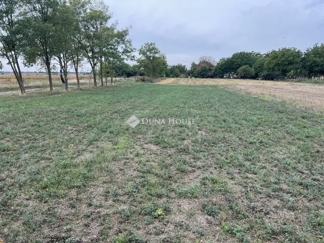 Eladó ház Sárbogárd 73 nm