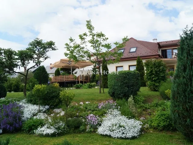 Eladó ház Zirc 350 nm