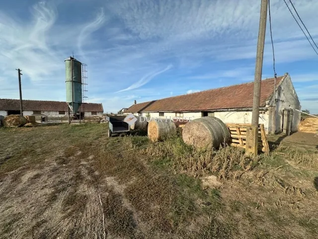 Eladó mezőgazdasági ingatlan Mezőkomárom 30273 nm